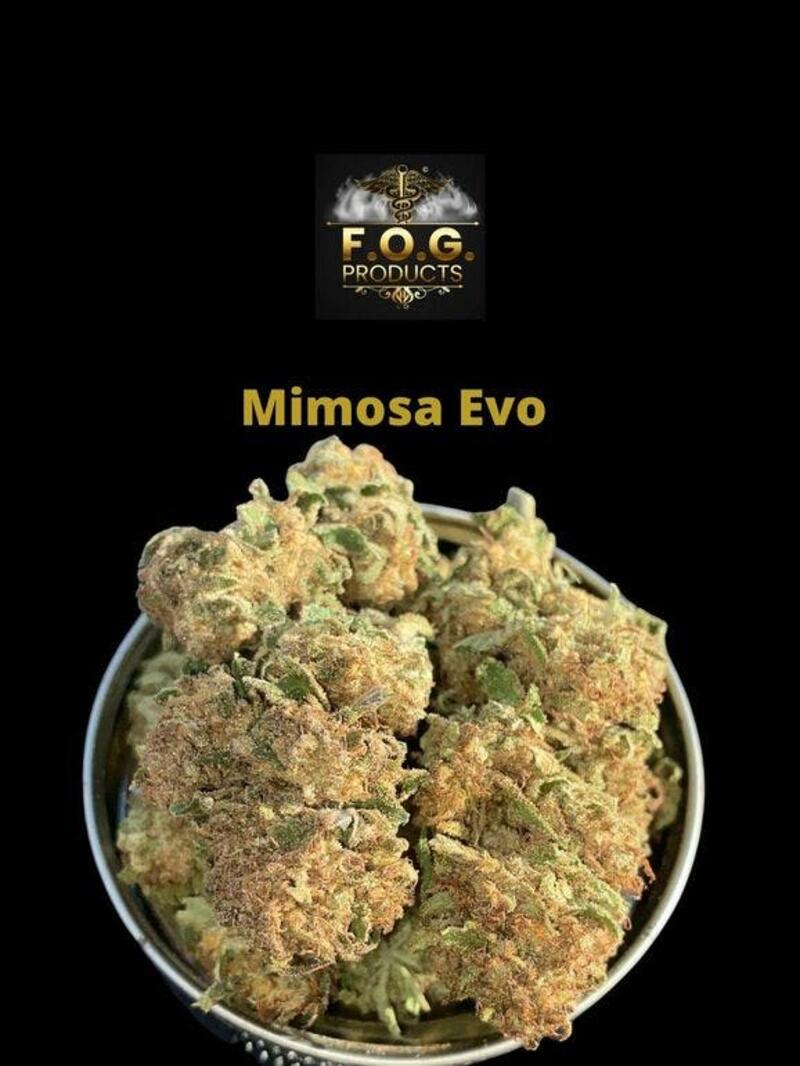 Mimosa Evo