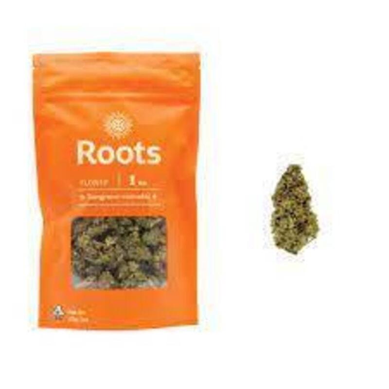 Chocolope - Roots - Ounce 19%THC Sativa