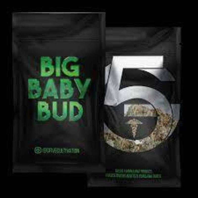 GFIVE - Big Baby Bud 2.0