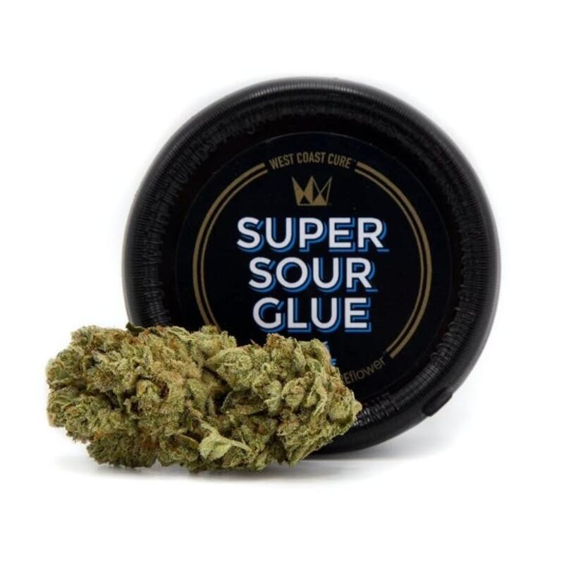 Super Sour Glue - 3.5g Cured Can