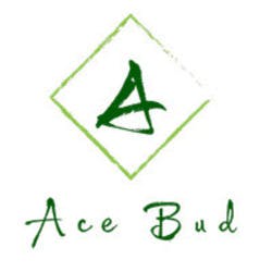Ace Bud - West hollywood