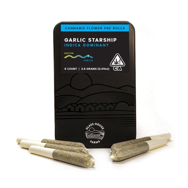 Garlic Starship [5 Pack]
