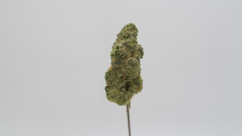 Witch Doctor 3.5g Small Bud