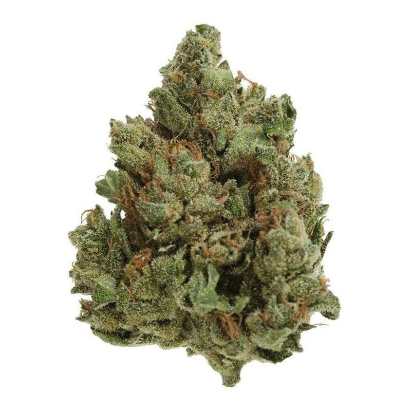 Cold Creek Kush Dried Flower (UP20) - Cold Creek Kush UP20 3.5g Dried Flower