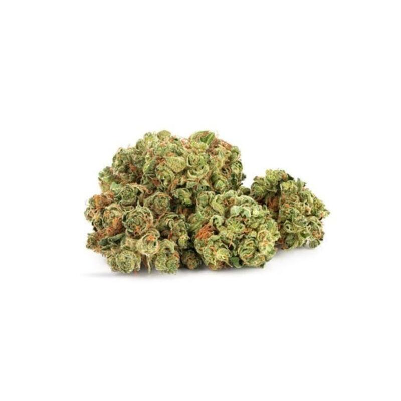 Daily Special Sativa - 28g
