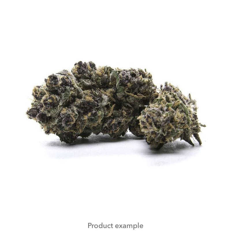 *BUDDY* Apple Fritter Luxury Line 1g - Lifted