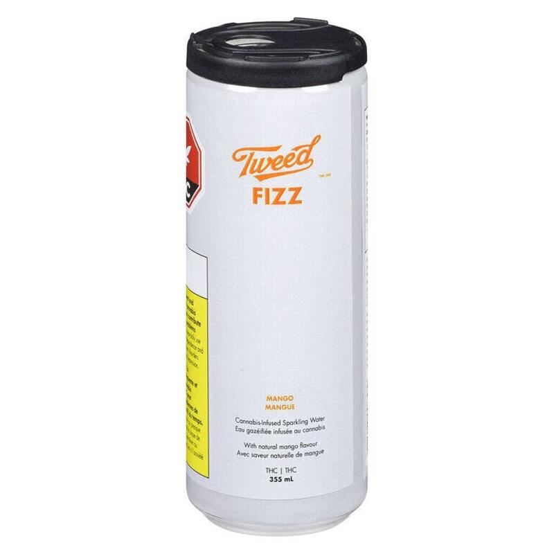 Fizz Mango 1x355ml - Fizz Mango 1x355ml Beverages