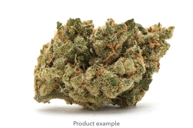 Apple Fritter 1g - Western Cultured