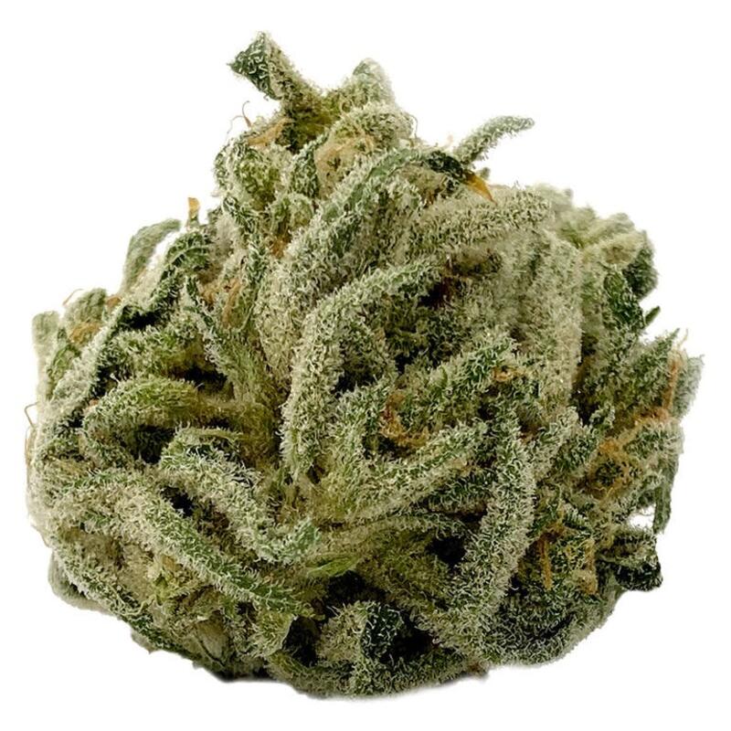 MTL Cannabis - Cookies N' Cream Hybrid - 3.5g