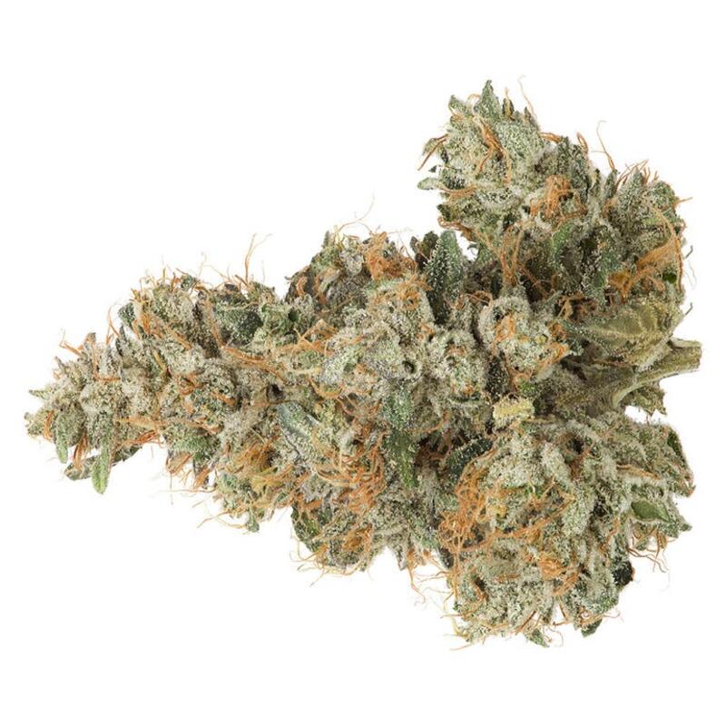 Coast Mountain Cannabis - BC Organic Pemberton Pink 3.5G