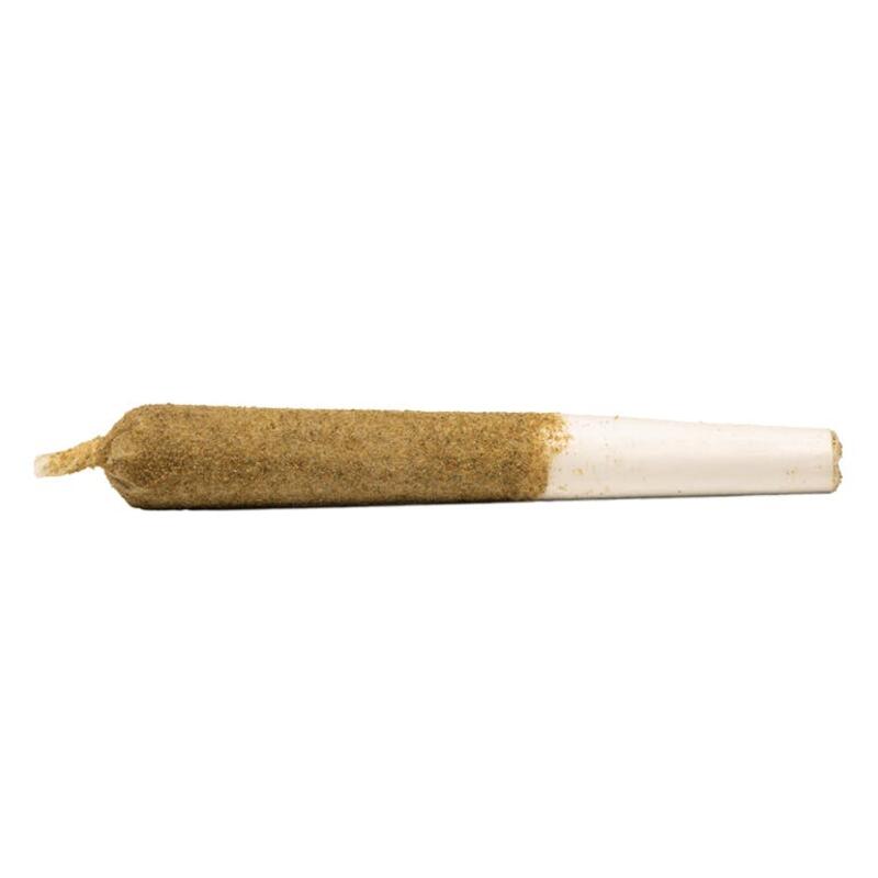 General Admission - Berry G#33 Infused Pre-Roll Indica - 1x1g