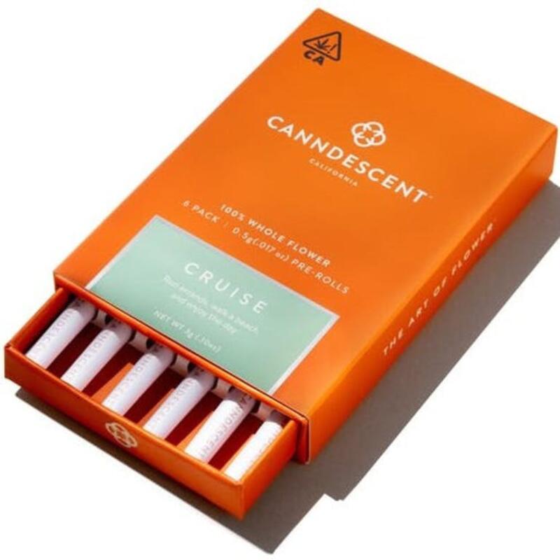 Canndescent Cruise Mini Preroll Pack 6ct - 3g