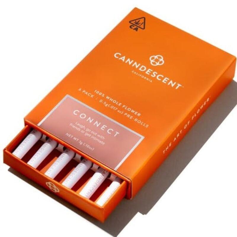 Canndescent Connect Mini Preroll Pack 6ct - 3g