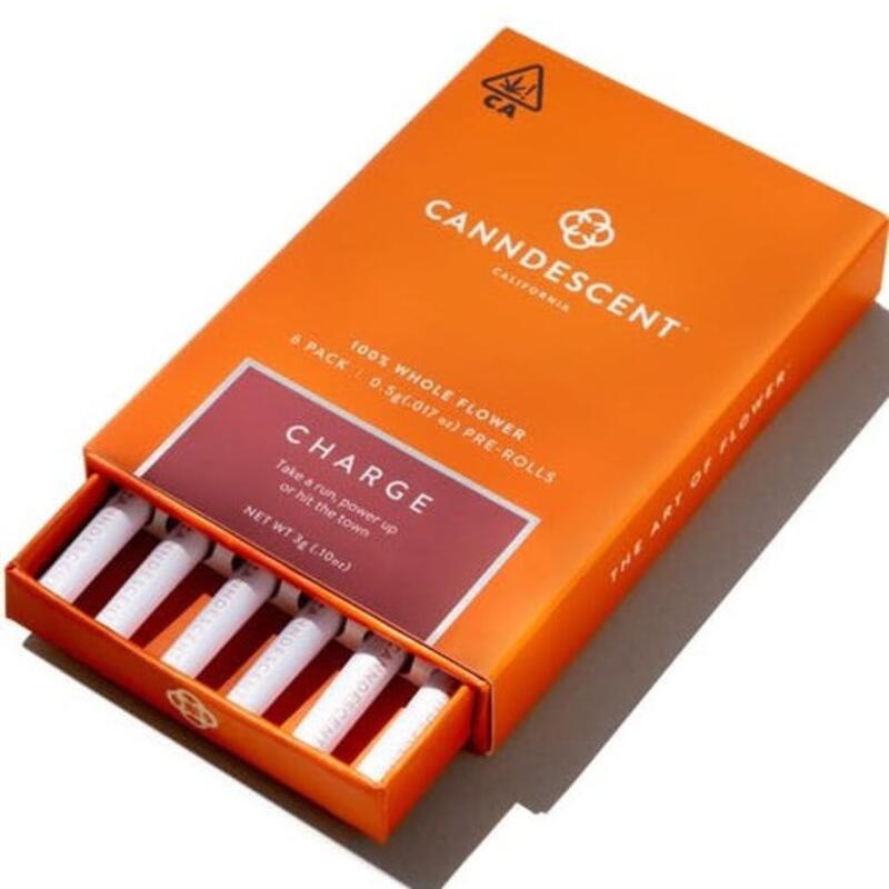 Canndescent Charge Mini Preroll Pack 6ct - 3g