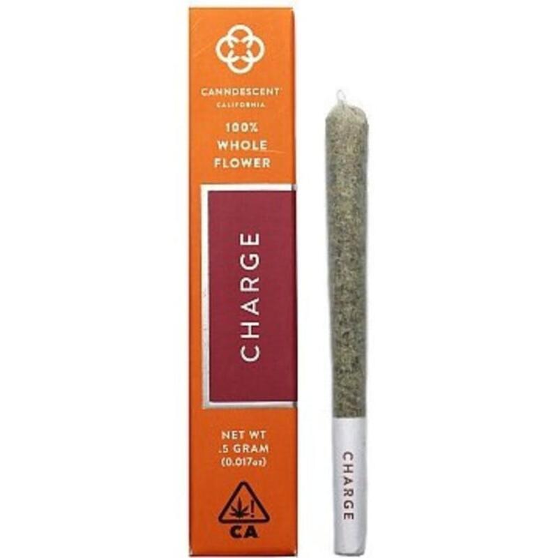 Canndescent Charge Preroll 1g