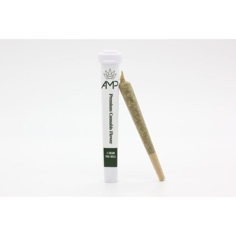 AMP - Pre-Roll 1g - Zour Apples