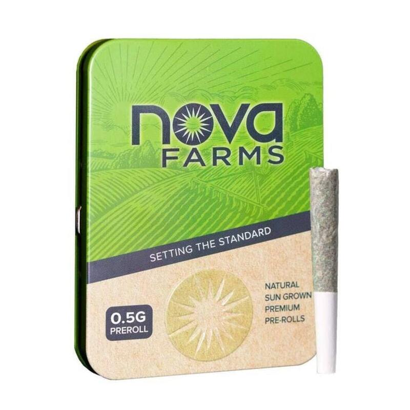 Nova Farms - Pre-Roll 2.5g 5 Pack - Blueberry Afgoo