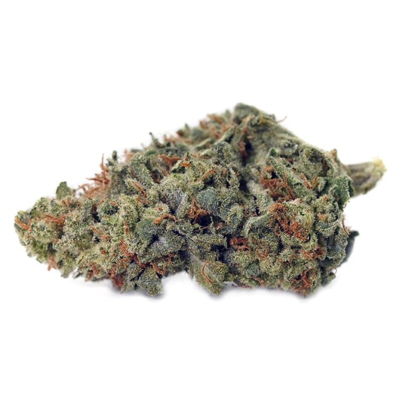Lost Cause - Lost Cause 3.5g Dried Flower