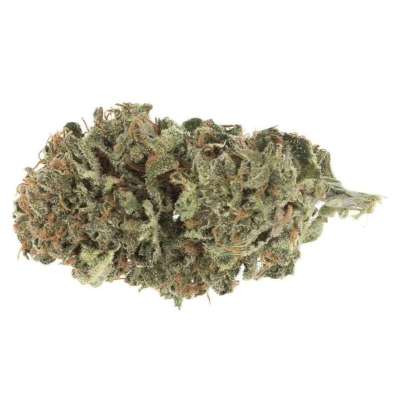 Blue Dream by Station House - Blue Dream Dried Flower 14g Dried Flower
