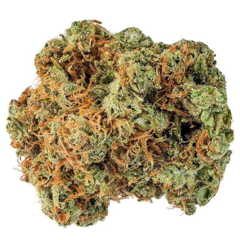 Acapulco Gold - Acapulco Gold Dried Flower