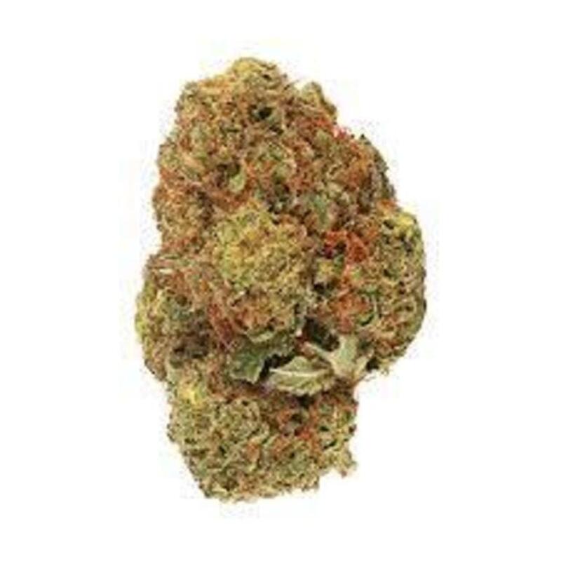 Daily Special - Daily Special Indica 3.5g Dried Flower