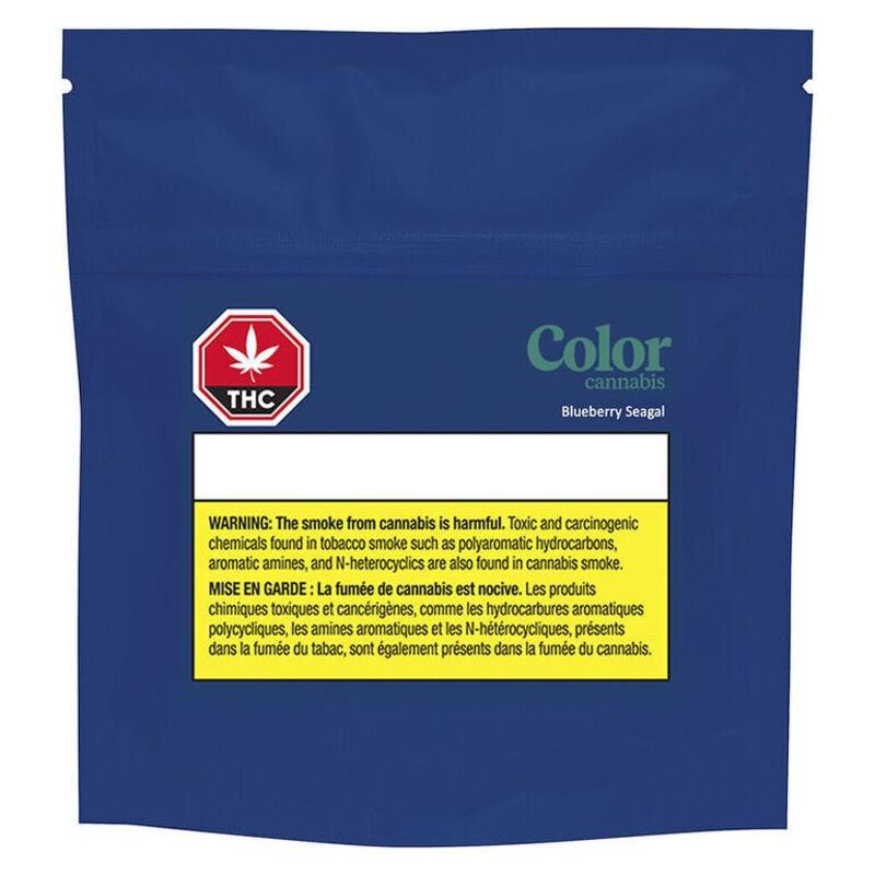 Blueberry Seagal Pre-Rolls - Color Cannabis - 10x0.35g