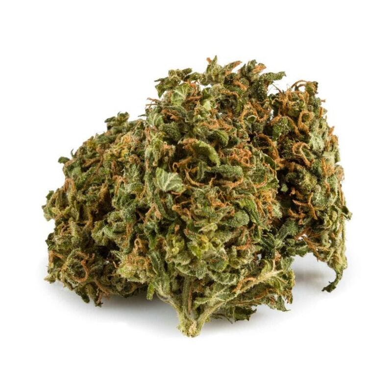 Ghost Train Haze - Color Cannabis - 15g - Ghost Train Haze 15g Dried Flower