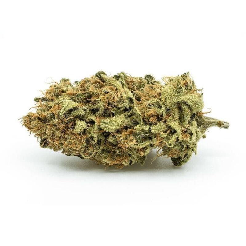 Outlaw - Redecan - Outlaw 1g Dried Flower