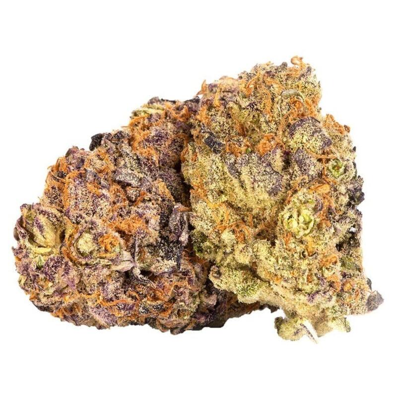 Purple Punch (Table Top) - Purple Punch 3.5g Dried Flower