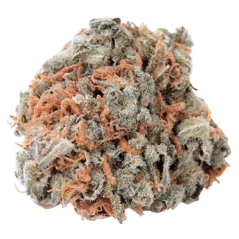 Haven St. Premium Cannabis - No. 417 Indigo Daze Indica - 3.5g