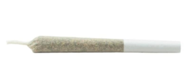 Daily Special Sativa Js Pre-Roll