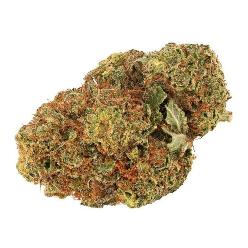Daily Special Indica- Dried Flower - Daily Special Indica 28g Dried Flower