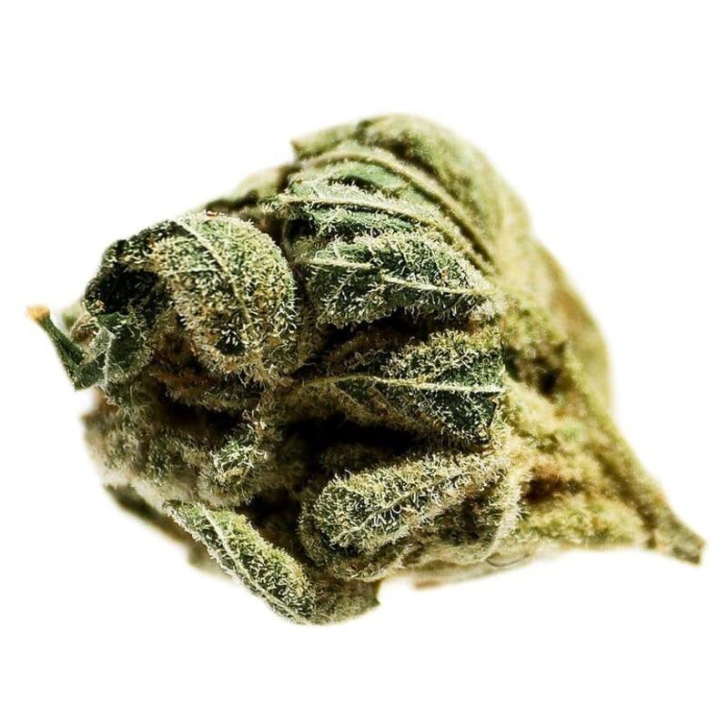 Frosted Cherry 7g Dried Flower