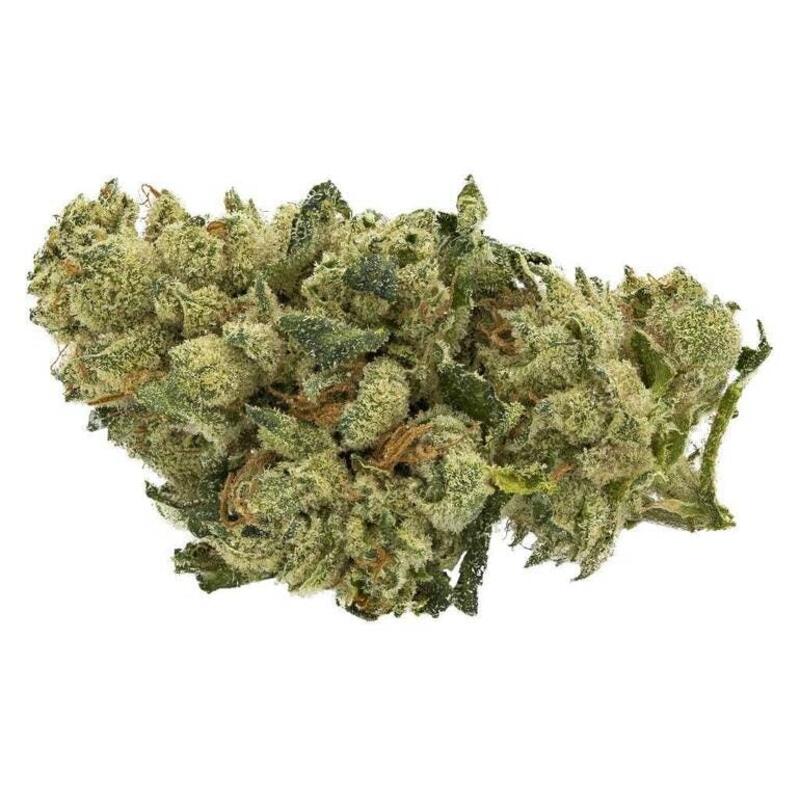 Indiva - Powdered Donuts 3.5g Dried Flower