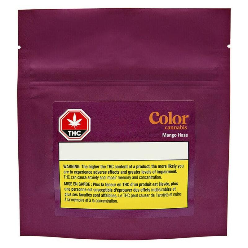 Color Cannabis Pre-Rolls - Mango Haze 10x0.35g