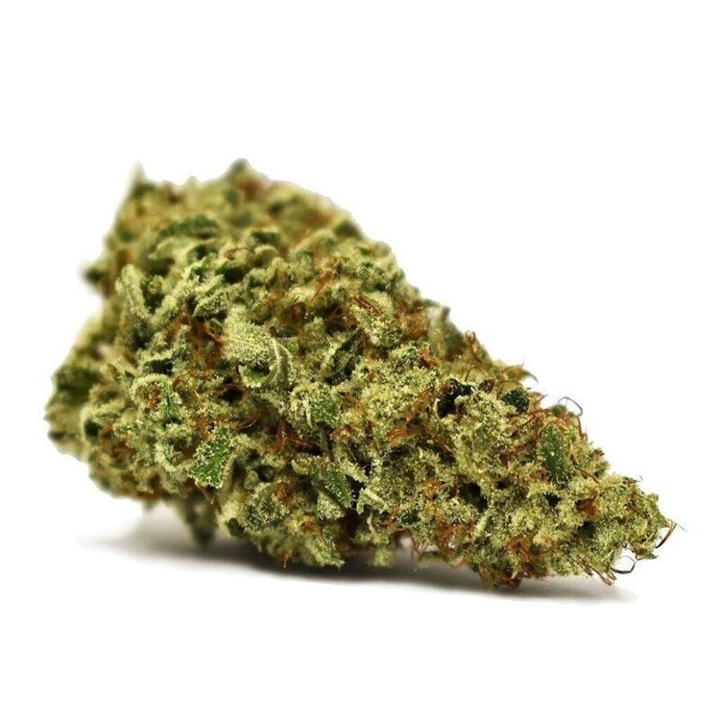 Color Cannabis - White Shark Sativa - 3.5g