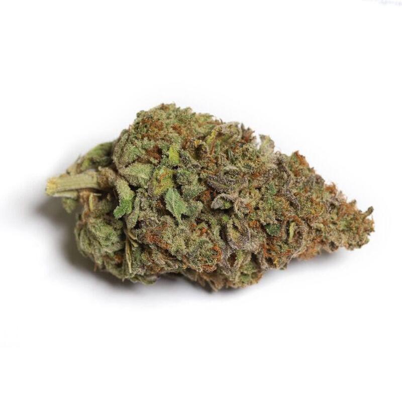 Kiwi Cannabis - Cali-O Hybrid - 3.5g