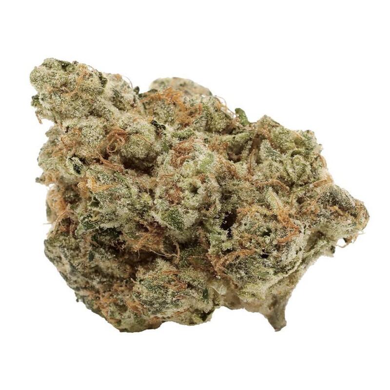 Haven St. Premium Cannabis - Sapphire Scout - Indica - 3.5g