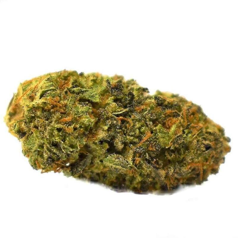 Blueberry Seagal- Color Cannabis - Blueberry Seagal 3.5g Dried Flower