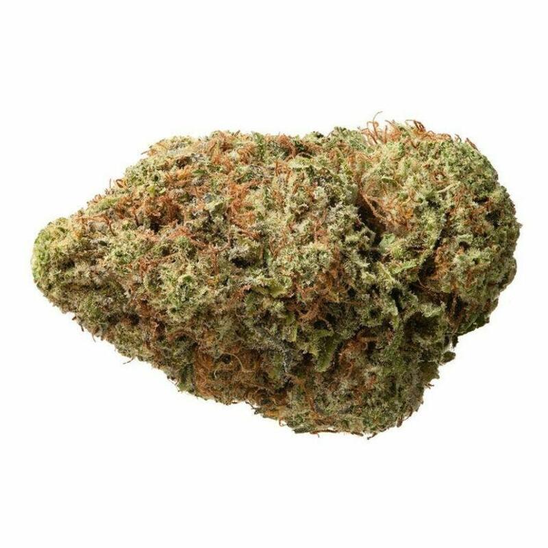 BC Organic Apple Toffee - SIMPLYBARE - 22% - Indica Dominant Hybrid