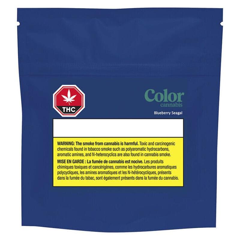 Blueberry Seagal 10x0.35g - Color Cannabis - Pre-Rolls