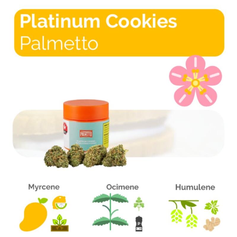 Platinum Cookies - 3.5g Dried Flower