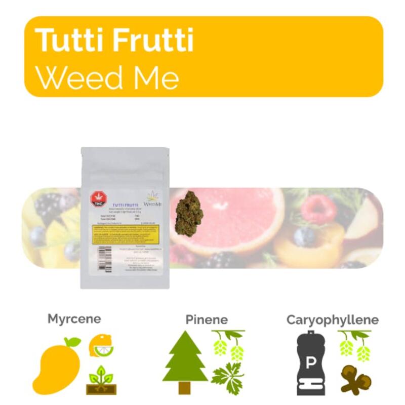 Tutti Frutti - 3.5g Dried Flower