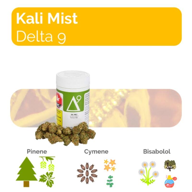 Kali Mist - 3.5g Dried Flower