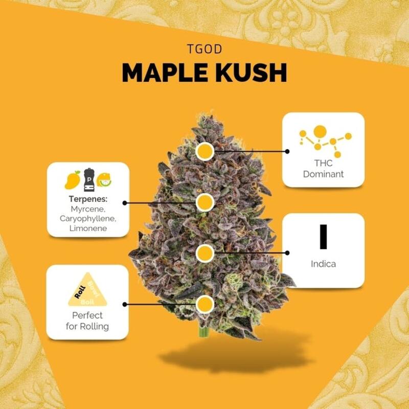 Organic Maple Kush - 3.5g Dried Flower