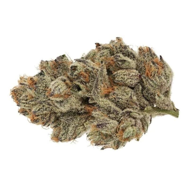 Broken Coast Cannabis - Kush Mints 1x3.5g &gt;H