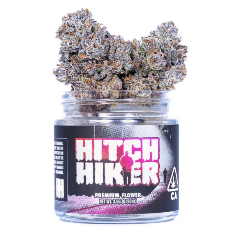Indoor - Connected - Eighth - Hitchhiker