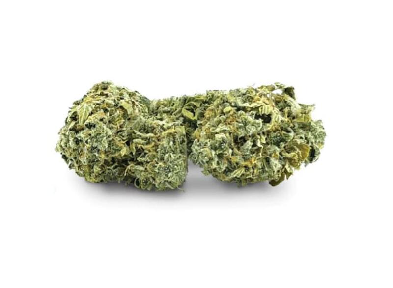 BC Black - Living Cannabis - Pakalolo Punch 3.5g (B14)