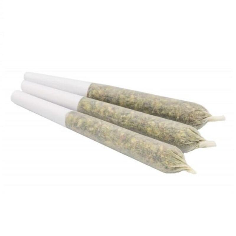 Blueberry Resin Fortified Pre Rolls 3x0.5g | 1.5g