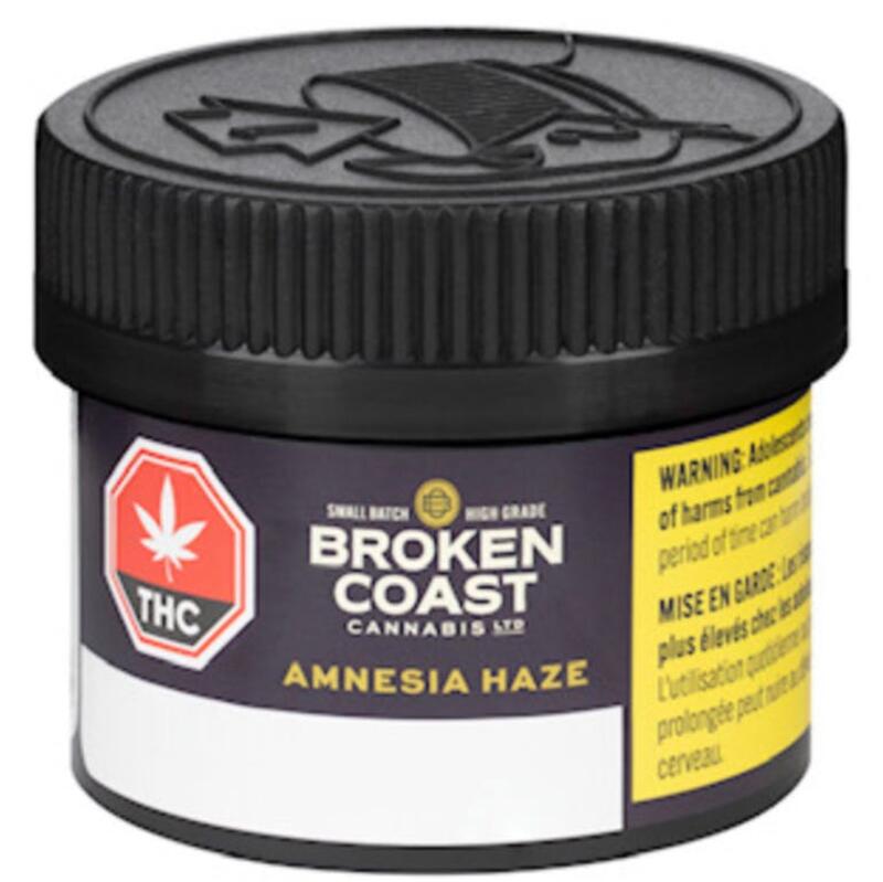 Broken Coast | Amnesia Haze 3.5g Dried Flower